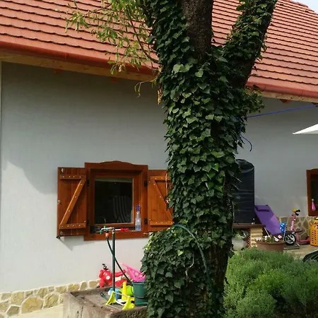 Villa Vita