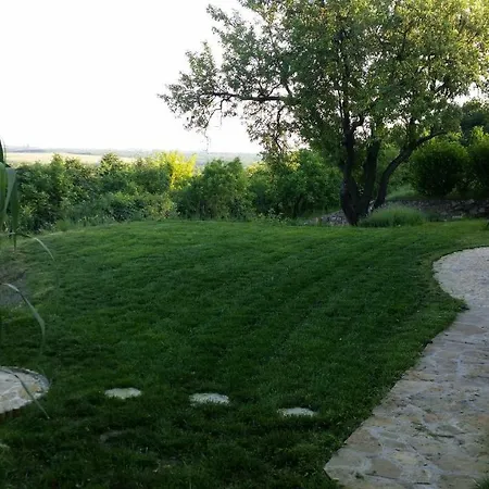 Villa Vita Дом отдыха *