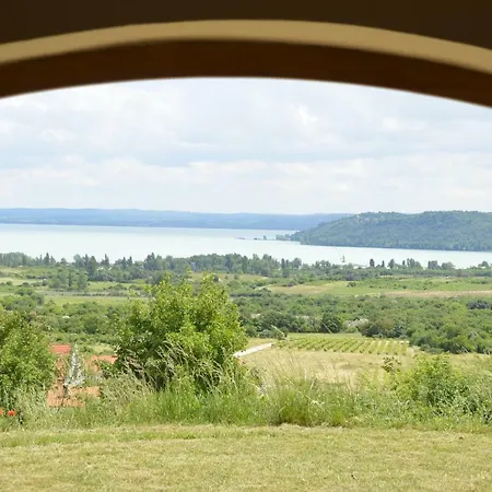 Дом отдыха Villa Vita *