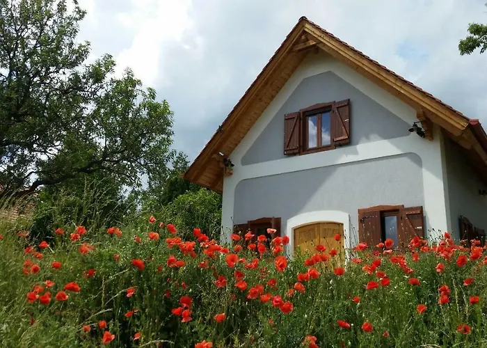 Дом отдыха Villa Vita *